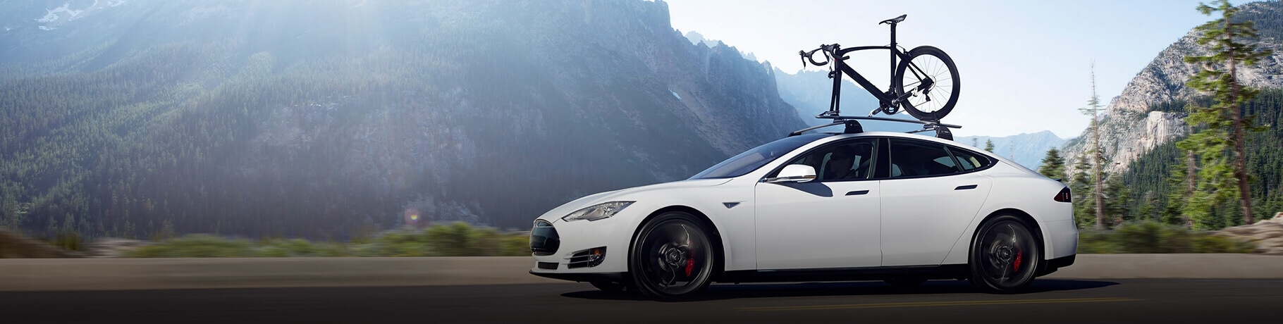 TESLA S60D